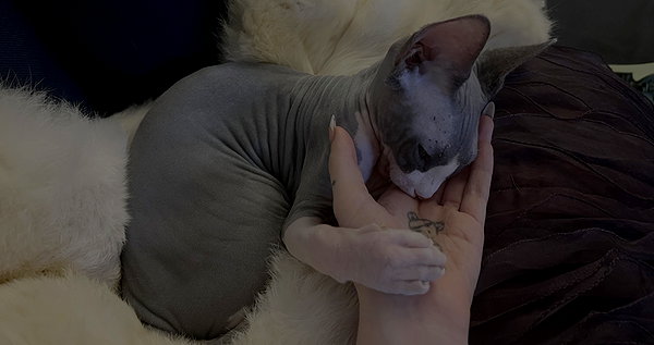 foulboness instagram image archive image