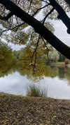 avestanova Altpins Profile Picture