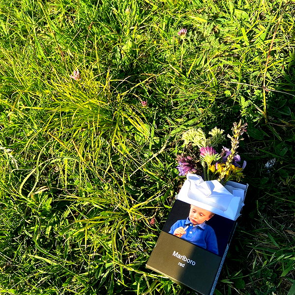 digital.grave digital.grave archive image