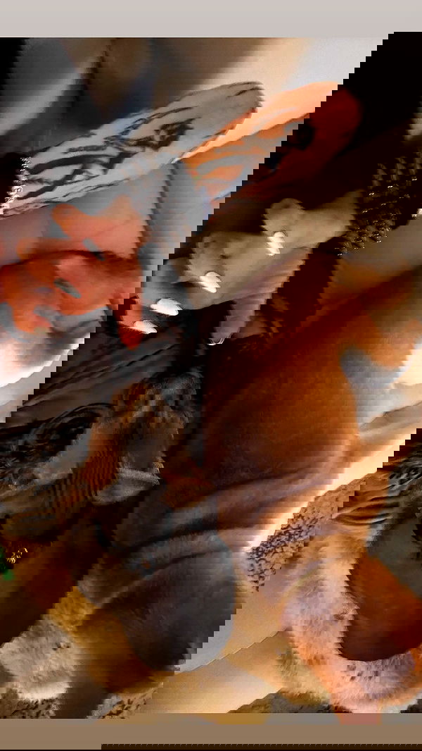 zommmbri zommmbri archive image