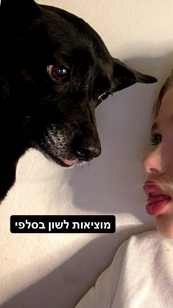 liliashaked instagram image archive image