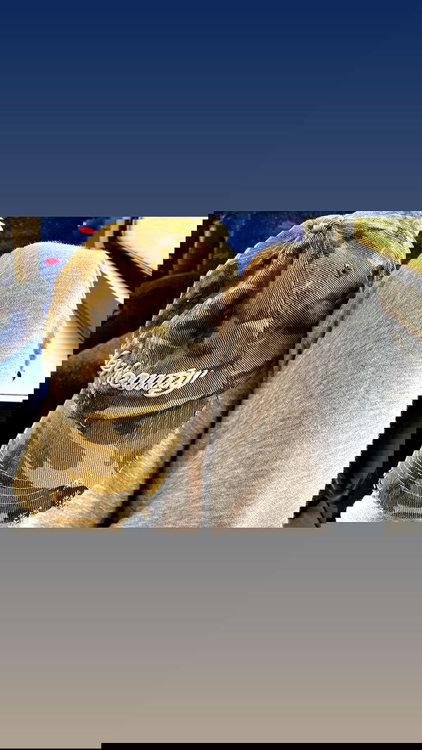 efrat_elmalich image ~ Altpins