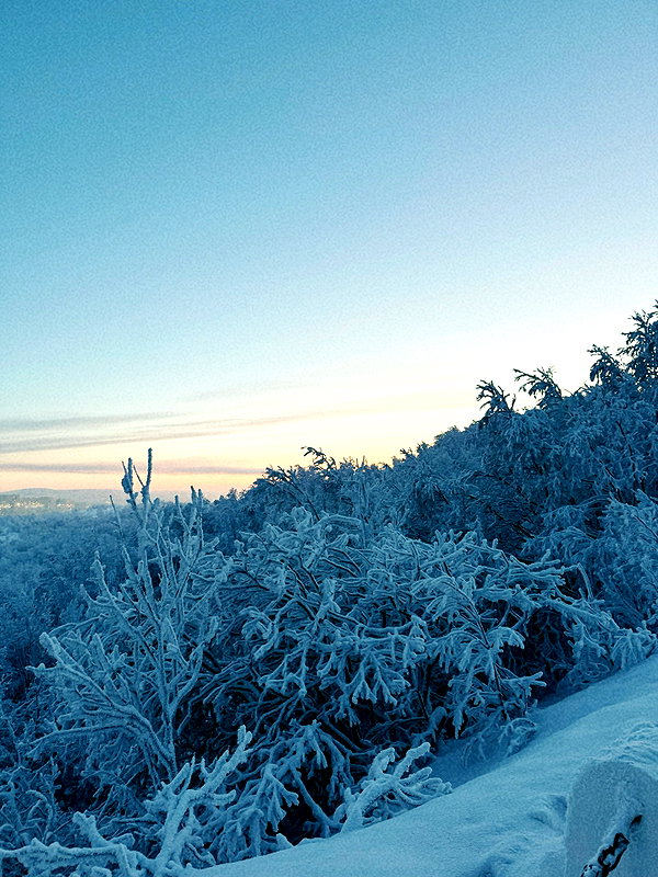 pokrov90 instagram image archive image
