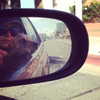 alexandradaddario Altpins Profile Picture