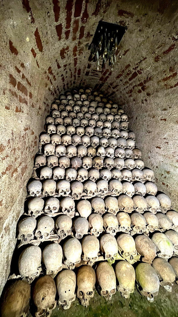 kesemgreenyer instagram image archive image