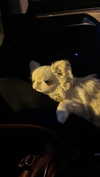 dwpolin Altpins Profile Picture