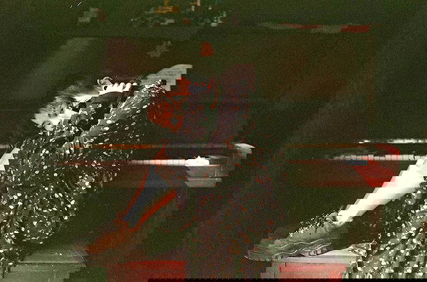 ting851204 ting851204 archive image