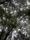 vollkova__ Altpins Profile Picture