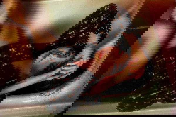 ting851204 ting851204 archive image