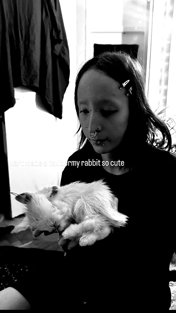 amberxswain instagram image archive image