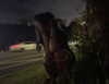 zommmbri Altpins Profile Picture