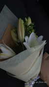 dekota_thompson Altpins Profile Picture