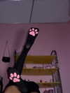 puppyknucklesxx Altpins Profile Picture