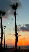 ofri.elul Altpins Profile Picture