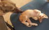 lotembar Altpins Profile Picture