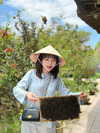 lyhythuedoxinh Altpins Profile Picture