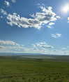 indra0102_ Altpins Profile Picture