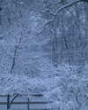 livia._.paige Altpins Profile Picture