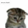 milkiwifey Altpins Profile Picture