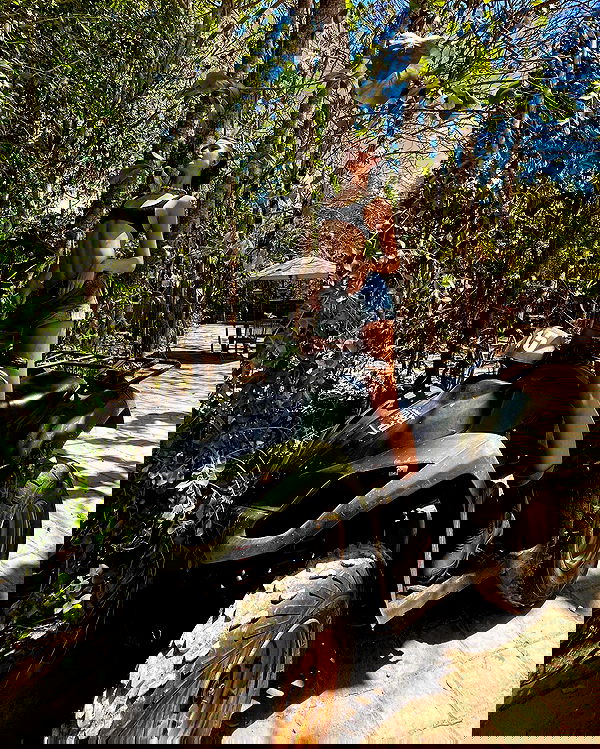 taylor.creeden taylor.creeden archive image