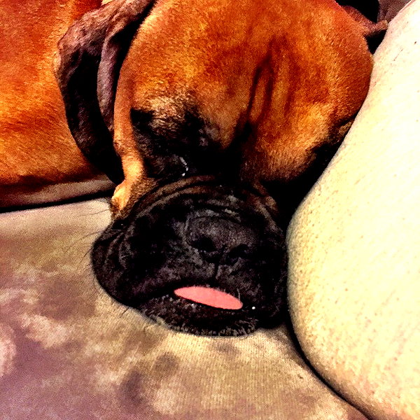 adihimelbloy instagram image archive image