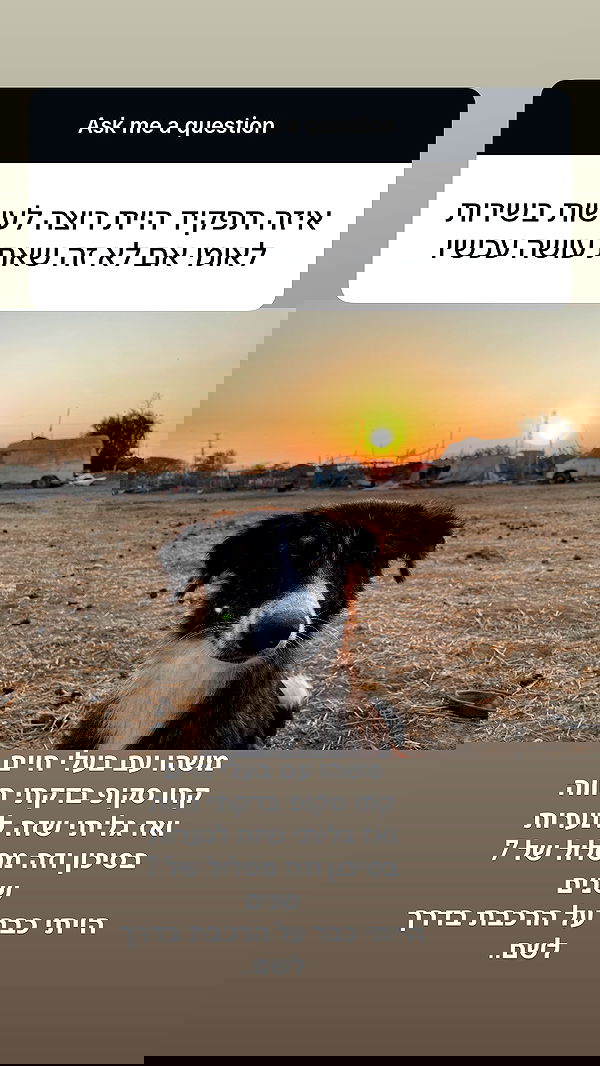 efrat_elmalich efrat_elmalich archive image