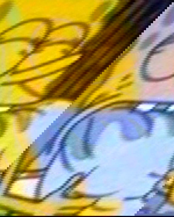 silkton image ~ Altpins