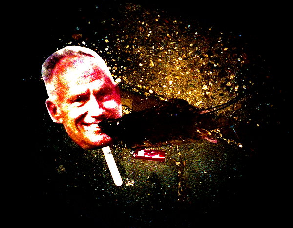 bugz4brainz instagram image archive image