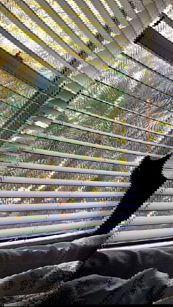 suikomuu suikomuu archive image