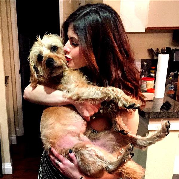 alexandradaddario instagram image archive image
