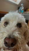 danamrts Altpins Profile Picture