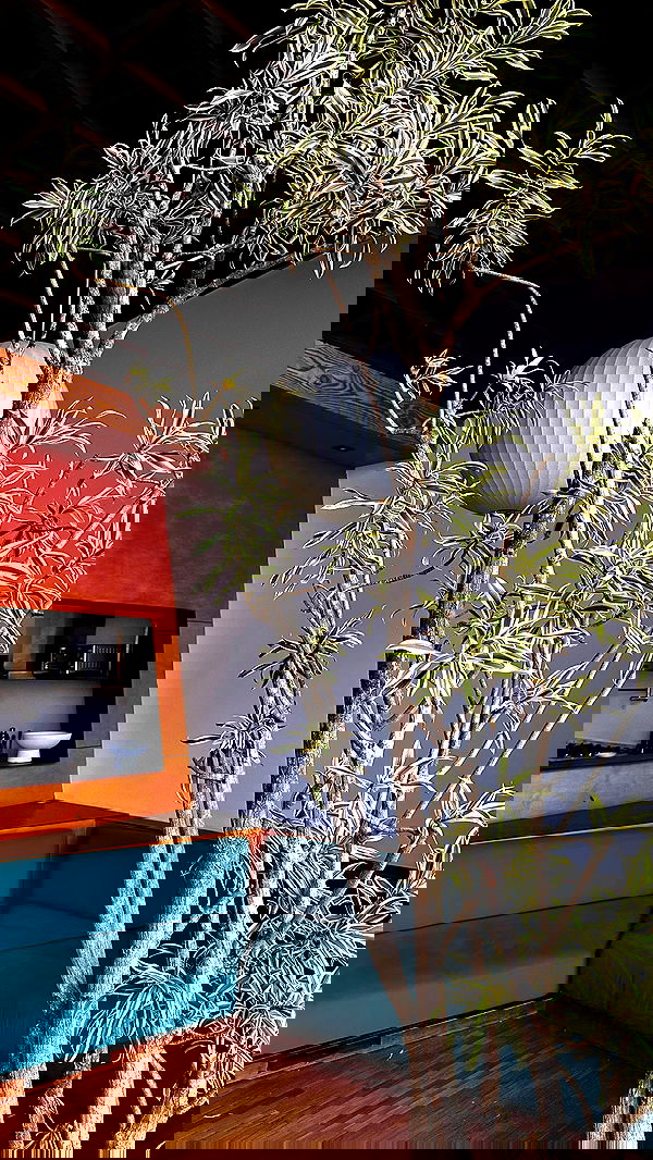 taylor.creeden taylor.creeden archive image