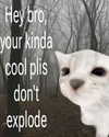 ellaexplicit_ Altpins Profile Picture