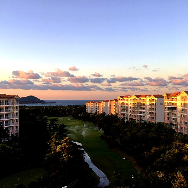 daxbin instagram image archive image