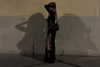 sof.alo Altpins Profile Picture