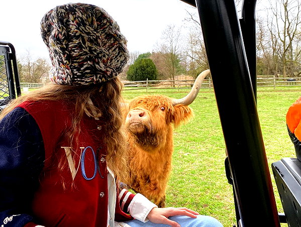 gigihadid instagram image archive image