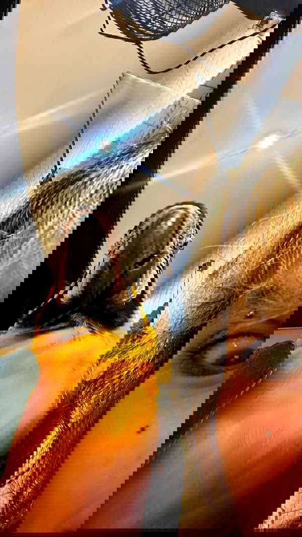 electrixjuggle electrixjuggle archive image