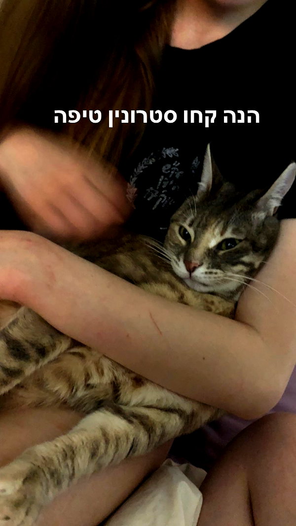 Archived image from @notchicore on Instagram