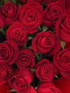 daria.temnik1 Altpins Profile Picture