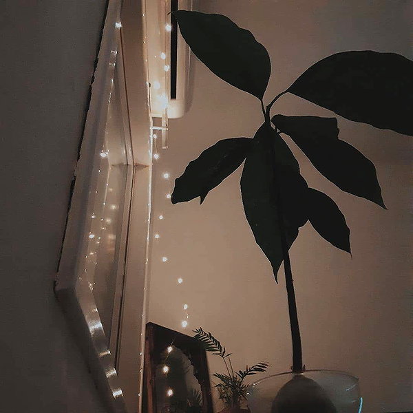 yanavekno instagram image archive image