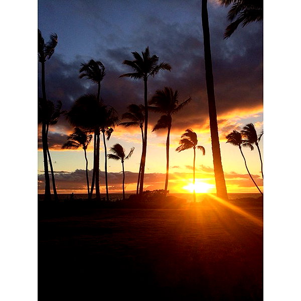 ashleybenson instagram image archive image