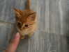 marlene_808 Altpins Profile Picture