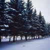 milena_milachich Altpins Profile Picture