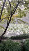 alisen.mari Altpins Profile Picture