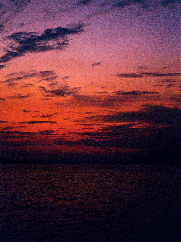 stateofrachel instagram image archive image