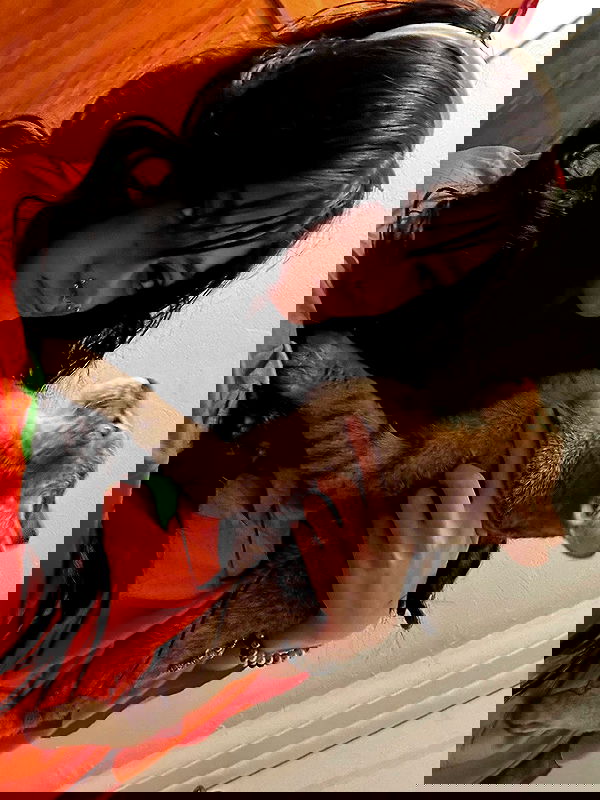 _animechika_ image ~ Altpins