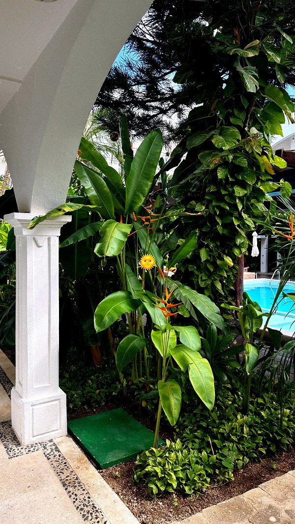 agamohanaa instagram image archive image