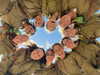 lil_sapir Altpins Profile Picture