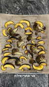 roni_ackerman Altpins Profile Picture