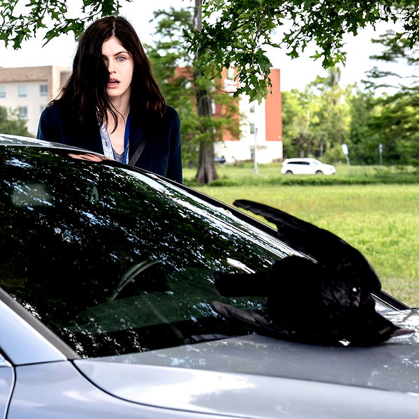 alexandradaddario instagram image archive image